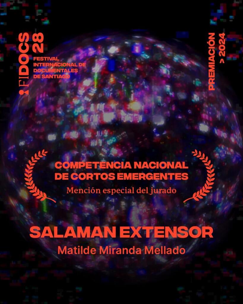 ganadoras1